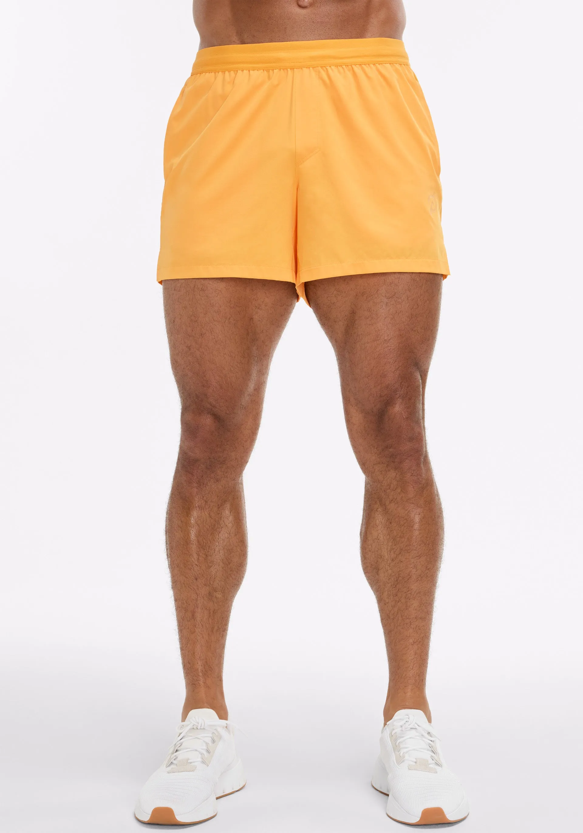 5" Lined Summit Short