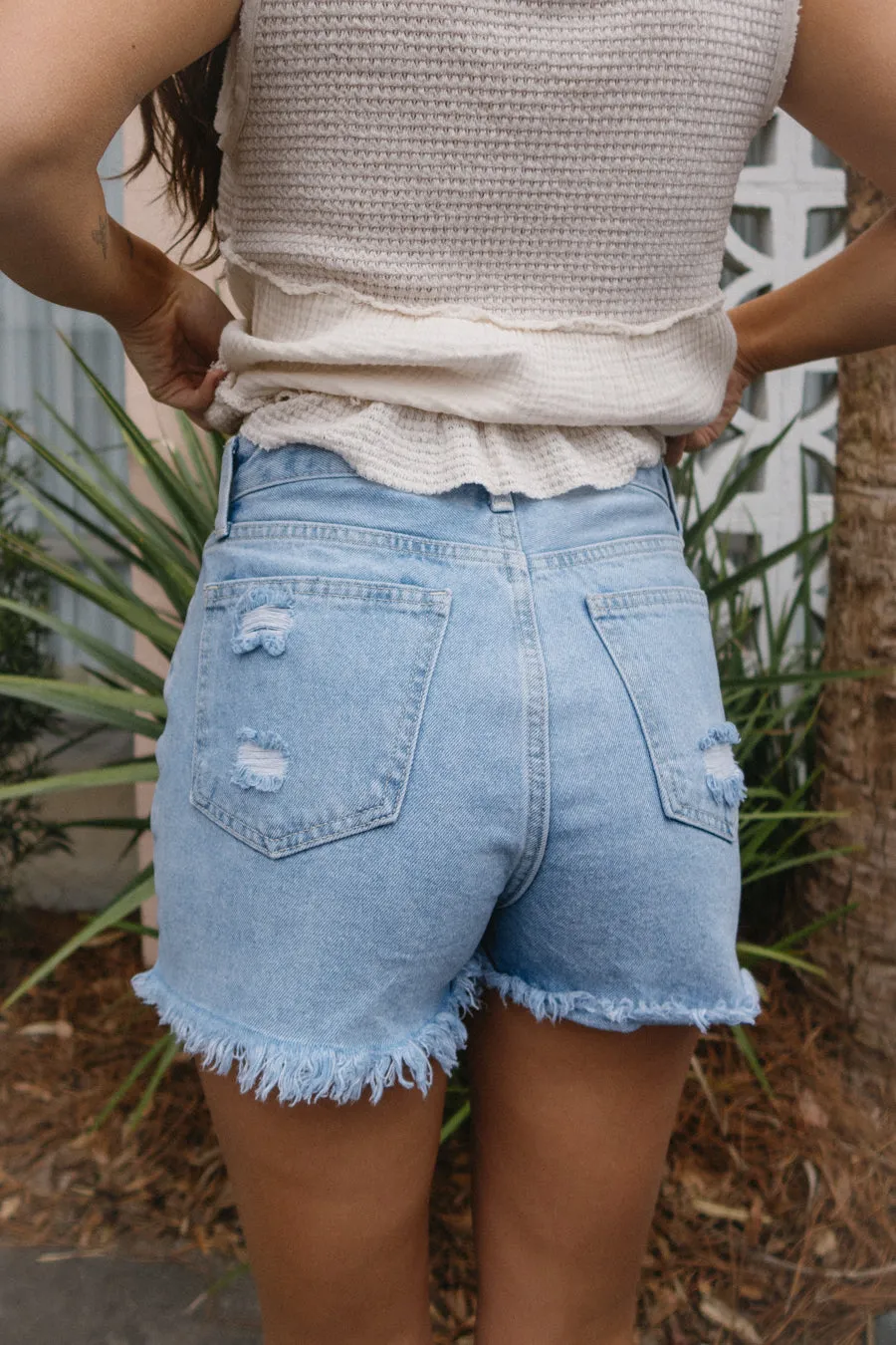 Today's the Day Shorts